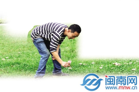 前日上午，東湖公園草地上長(zhǎng)蘑菇，引來(lái)游客采摘