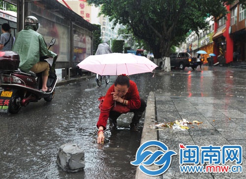 泉州市區(qū)泉秀街，阿婆撐傘俯身挨個清理井口的垃圾