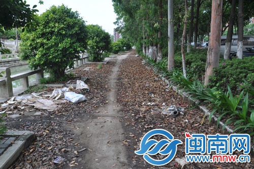 內(nèi)溝河邊通道上，堆滿了枯枝落葉