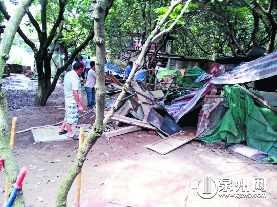 執(zhí)法人員對圈龍眼地搭蓋養(yǎng)雞鴨的違建進行強制拆除