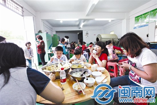 海都小記者 當(dāng)了回小茶農(nóng)6