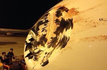 飛機機頭被撞凹。2