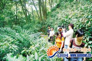 金光湖生態(tài)之旅受游客追棒