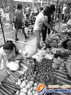 時令菜已經開始上市