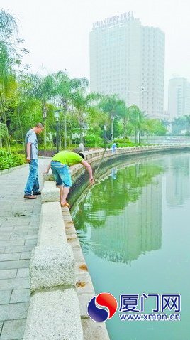 筼筜湖畔有不少這樣撈魚蝦的人