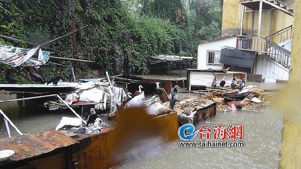 昨日廈門一場暴雨 警方7個(gè)小時(shí)接到17起積水報(bào)警1