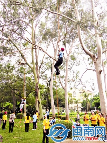 70多位蜘蛛俠樹(shù)冠間挑戰(zhàn)速度