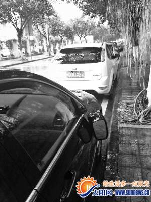 8只車耳朵一夜被踹斷