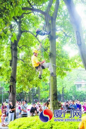 廈大攀樹比賽參加者四成是女生