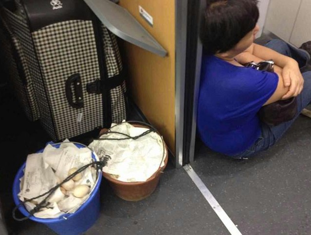 母親挑三十斤蛋趕無座火車看兒子 累到坐地睡著