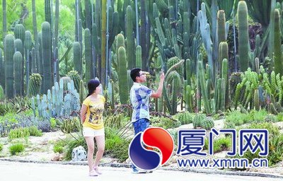 昨日廈門氣溫升高。圖為觀賞植物的游人