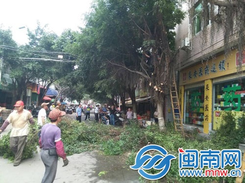 園林工人正在對沿街樹木進(jìn)行修剪