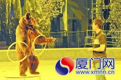 黑熊表演搖呼啦圈。