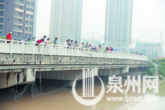 不少人拿著網(wǎng)兜和漁網(wǎng)在橋上撈魚(yú)