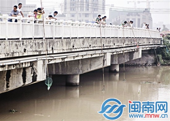 周邊不少工友加入，撈魚(yú)場(chǎng)面火熱