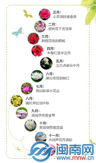 花季
