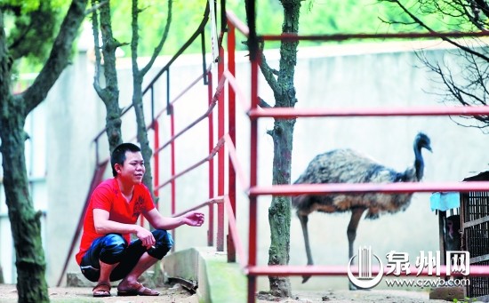 新建起的休閑場(chǎng)所分散了人流，晉江敏月動(dòng)物園內(nèi)游客
