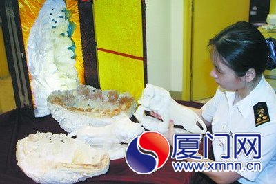 海關(guān)工作人員查驗(yàn)這批硨磲制品