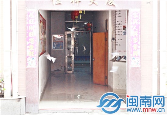 上午幾十只燕子飛來捕食“紛飛”的白蟻，麻雀隨后加