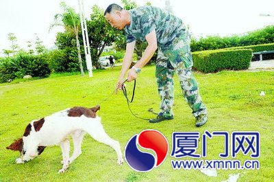 柯受是李維福一手訓(xùn)練出來的。