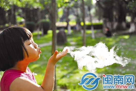 一位小朋友拿起一團(tuán)木棉花絮，種子夾雜在其中，隨風(fēng)