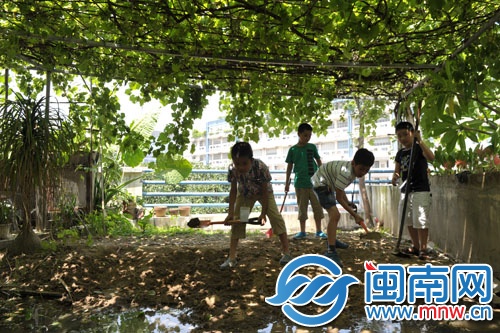 葡萄藤下，小記者們拿著鏟子松土