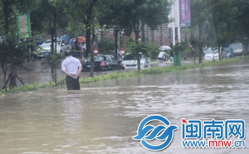 金龍派出所外，小車被泡水里