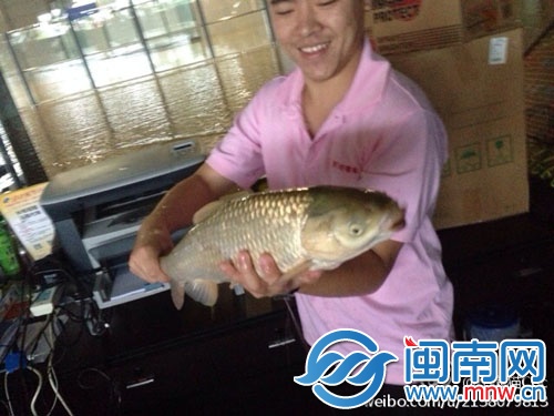 網(wǎng)友相傳，有人在廈門北站抓到大魚