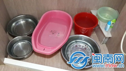 在王女士家的衛(wèi)生間內(nèi)，大大小小的盆子裝滿了水