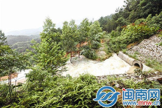 護坡塌方后，水流急速地從涵道口涌出