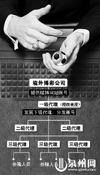 境外賭球博彩公司結構示意圖