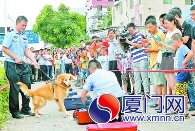緝毒犬 “天翼”尋找藏毒箱子