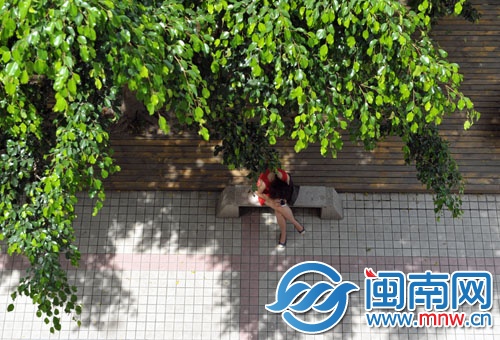 一位女子躲在樹陰下玩手機(jī)