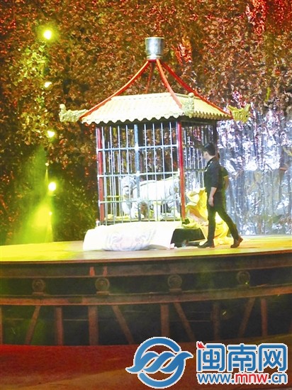 籠子里的美女消失，兩頭白虎出現(xiàn)在籠子里