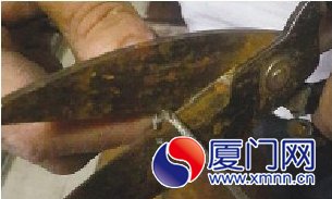 鋼絲繩用剪刀就可以剪斷