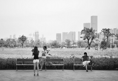 花海公園，大片盛開(kāi)的鮮花成為了許多新人們拍攝婚紗