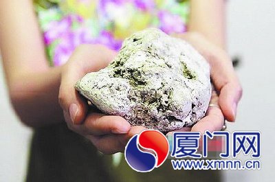 觀音山附近海域撿到的疑似“龍涎香”。