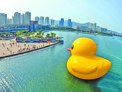 大黃鴨棲息海滄湖的愛心形象留在很多人的心里