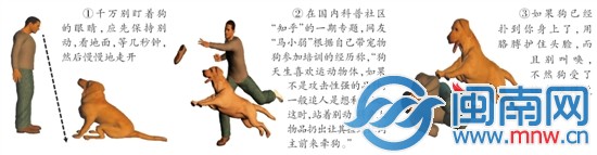 2歲女童 遭鄰居拴養(yǎng)狗撲咬