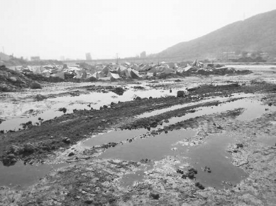 水頭鎮(zhèn)永泉山生態(tài)園內(nèi)，一家養(yǎng)殖場(chǎng)將污水排到了金都