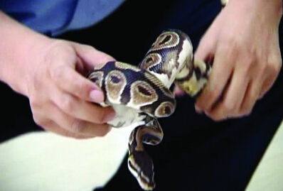 599150_201407041146491uNNO