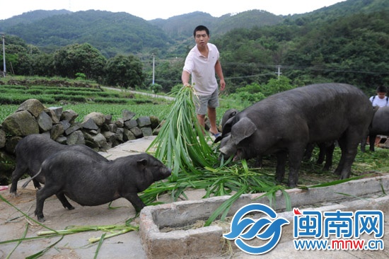 義賣助學(xué) 一個說到做到的承諾11