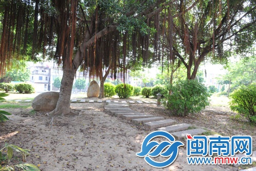 伍堡公園一處樹下，沒有綠化，光禿禿