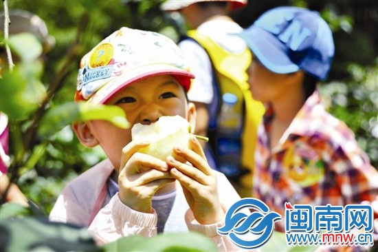 剛摘下來(lái)的梨子，忍不住先咬一口