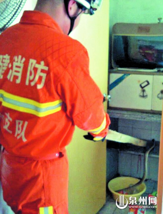 消防員抓蛇