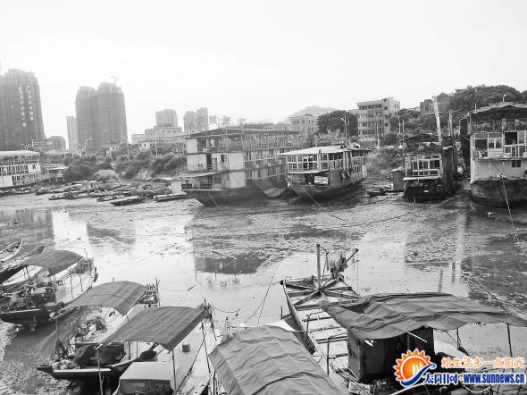 20多家漁船大排檔聚集在這里