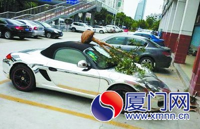 盆栽樹橫在保時(shí)捷車上