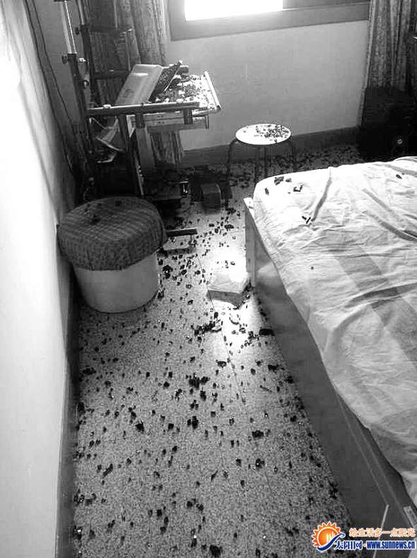 書房中滿是鋼化玻璃碎片