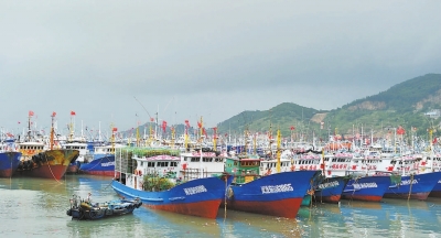 23日，漁船在連江縣黃岐中心漁港避風(fēng)。本報(bào)記者林輝攝